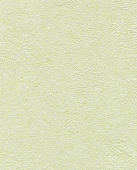Панель ПВХ Орхидея Светло-зеленая 2l-9202 (250х2700х9 мм) 