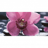 Болеро черный Орхидея 1  (25*50)