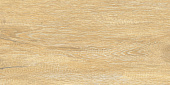 Плитка керамическая AltaCera Elemento Cedar WT9ELT31 250*500