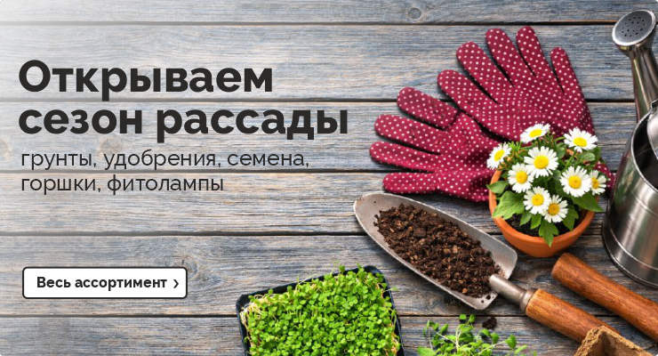 Открываем сезон рассады