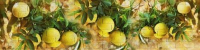 Фартук кухонный Свити (2400х610х6мм) МДФ высокоглянцевый с тиснением