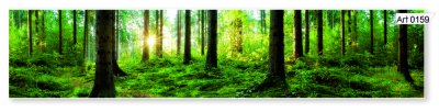 Фартук кухонный Фартук (2800х610х6мм) МДФ высокоглянц Panda art.0159
