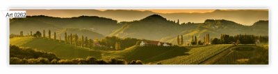 Фартук кухонный (2800х610х6мм) МДФ высокоглянц Panda art.0262