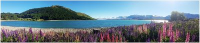 Фартук кухонный (2800х610х6мм) МДФ высокоглянц Panda art.0172