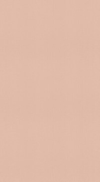 Обои 45А-312-08 United Colors корал.1,06*10м
