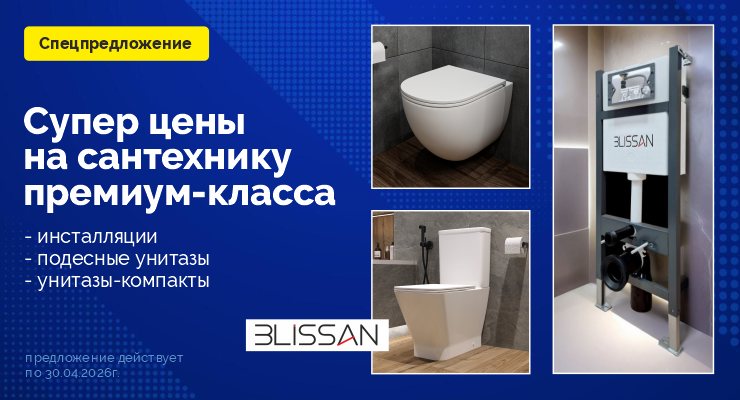 Супер цены на Блиссан