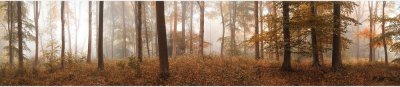 Фартук кухонный (2800х610х6мм) МДФ высокоглянц Panda art.0169