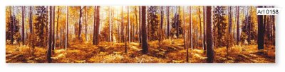 Фартук кухонный Фартук (2800х610х6мм) МДФ высокоглянц Panda art.0158