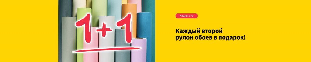 1+1 (центр).jpg