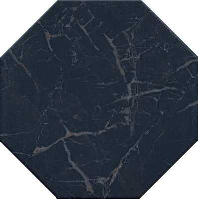 Сансеверо черный SG240500N 24*24