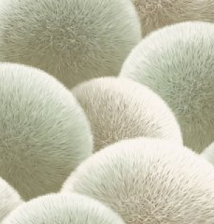 Обои AnturAGe 8889-15AN 1,06*10м