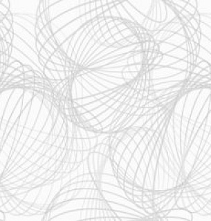 Обои NewAGe 8833-21NA 1,06*10м 