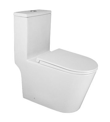 Унитаз-моноблок AZARIO Скала напольный с сиденьем дюропласт микролифт AZ-8101