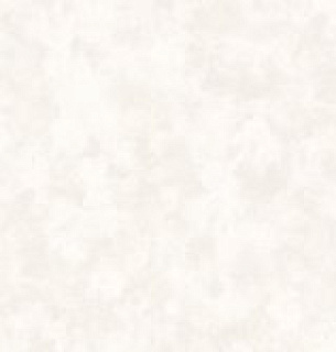 Обои Victoria Stenova 281765 Kamilia 1.06*10м