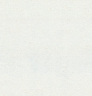 Обои EuroDecor 6058-00 1,06*10м 