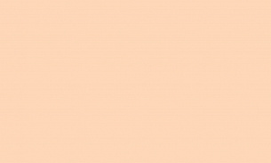 Обои Erismann 60442-09 Papaya 1,06*10м