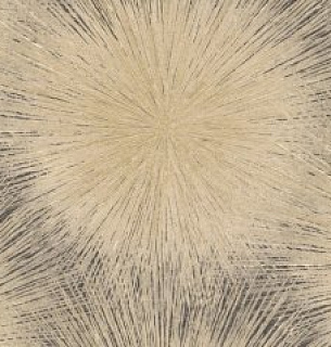 Обои NewAGe 8743-26 Solar 1,06*10м