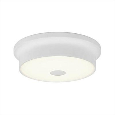 Светильник потолочный Фостер-2 Citilux CL706210 Белый