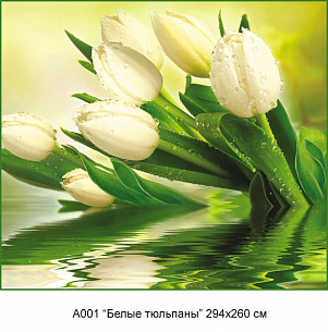 Фотообои А 001 Белые тюльпаны 
