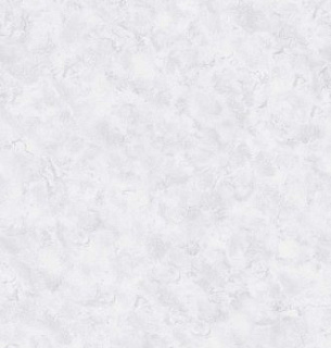 Обои Кардинал фон 06