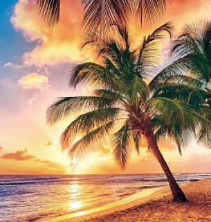 Фотообои Закат 392*260