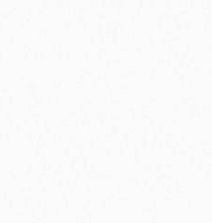 Обои NewAGe 8834-11NA 1,06*10м 