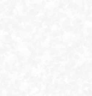 Обои Erismann 60613-03 Amur 1,06*10м 