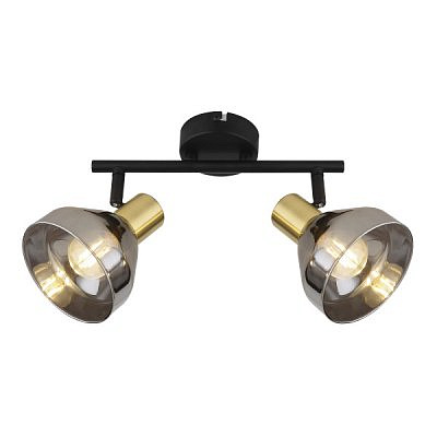 Светильник настенно-потолочный, поворотный, спот 7036-702 Kinge 2 x E14 40 Вт