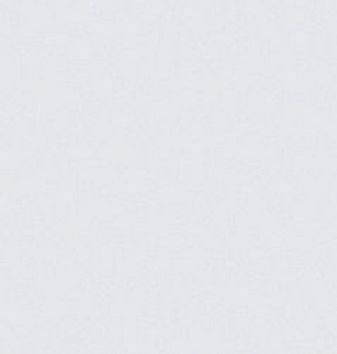 Обои AnturAGe 8890-04AN 1,06*10м 