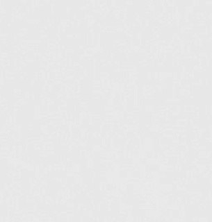 Обои WallSecret 8779-14 Comfort 1,06*10м