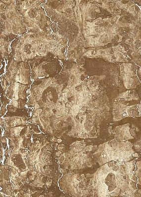 Изабель  низ 25*35
