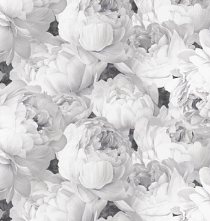 Обои Victoria Stenova 585337 Peony 1.06*10м  