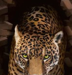 Фотообои Леопард 3Д 100*270