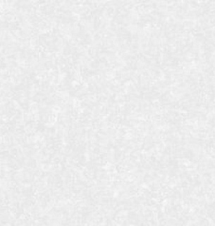 Обои AnturAGe 8858-14AN Maui 1,06*10м 