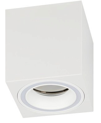 Светильник настенно-потолочный спот ЭРА  46 OL  WH  MR 16 GU10 IP20  белый