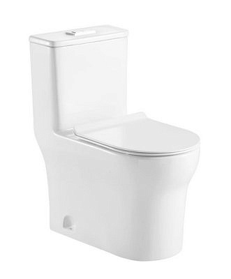 Унитаз-моноблок AZARIO Синто/Sinto AZ-1098 напольный с сиденьем дюропласт микролифт