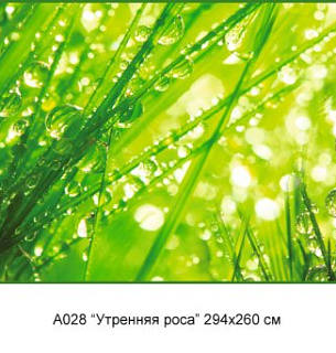 Фотообои А 028 Утреняя роса