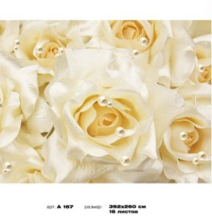 Фотообои Розы и жемчуг 392*260