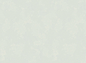 Обои Erismann 60731-05 Silk 1,06*10м