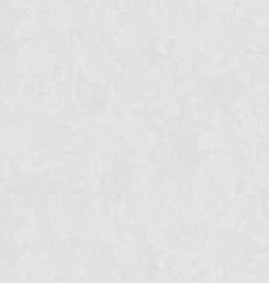 Обои Erismann 60498-05 Profi Deco Firuze 1,06*10м