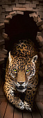 Фотообои Леопард 3Д 100*270