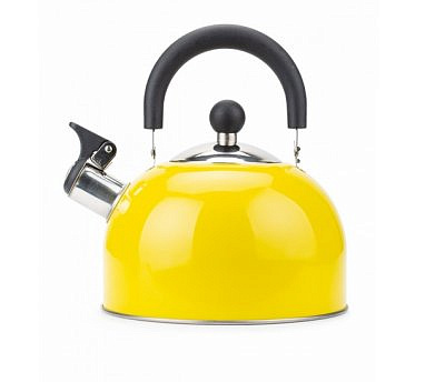 Чайник 2,5л Color Life ASC010