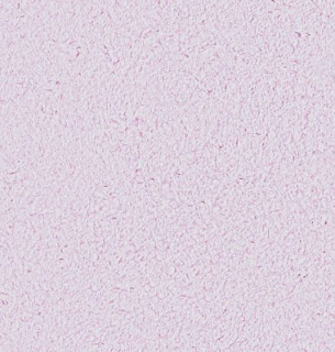 Обои жидкие SILK PLASTER Оптима Г-061