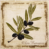 Прованс декор 9,9x9,9 A1912/1221Т