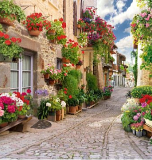 Фотообои Цветочная улочка 300*270 