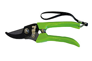 Секатор эконом 