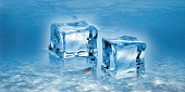 Water Декор D3D224 20*40
