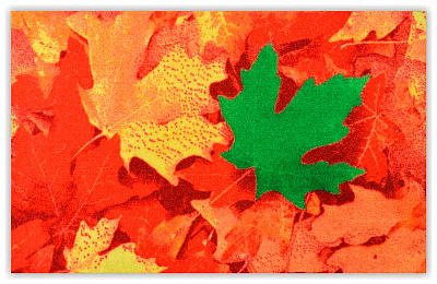 Коврик Delta-UP листопад 40х60см Herfst