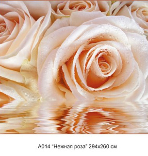 Фотообои А 014 Нежная роза 