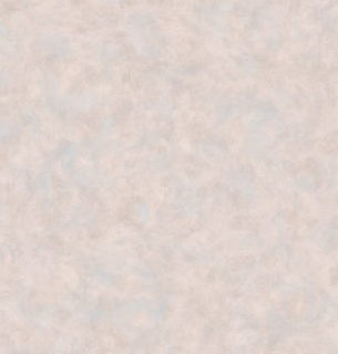 Обои AnturAGe 8727-13AN Anri 1,06*10м